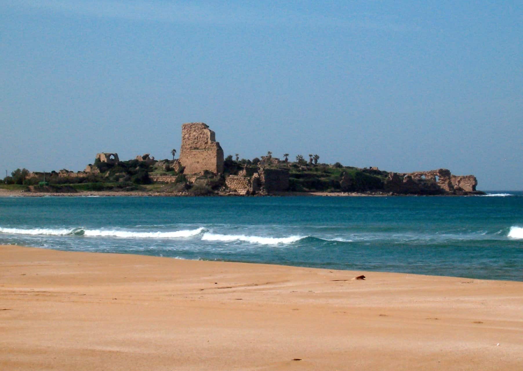 בדק בית בעתלית